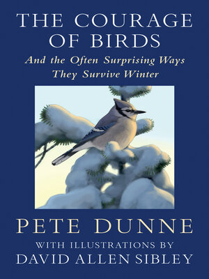 cover image of The Courage of Birds